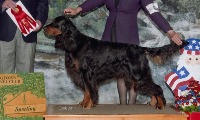 Bronze Grand Ch. Relativity Photo Finish RN,TDI,CGC